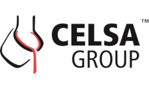 celsa group
